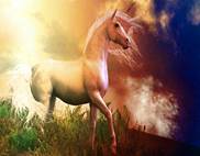 Unicorn background 13