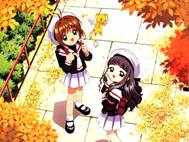 Sakura Card Captor wallpaper 13