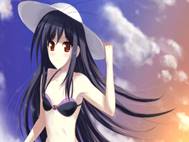 Accel World wallpaper 6