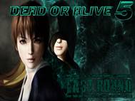 Dead or Alive 5 Last Round wallpaper 15