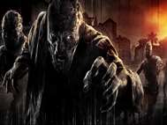 Dying Light wallpaper 2