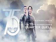 The Hunger Games Catching Fire wallpaper 6