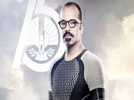 The Hunger Games Catching Fire wallpaper 8