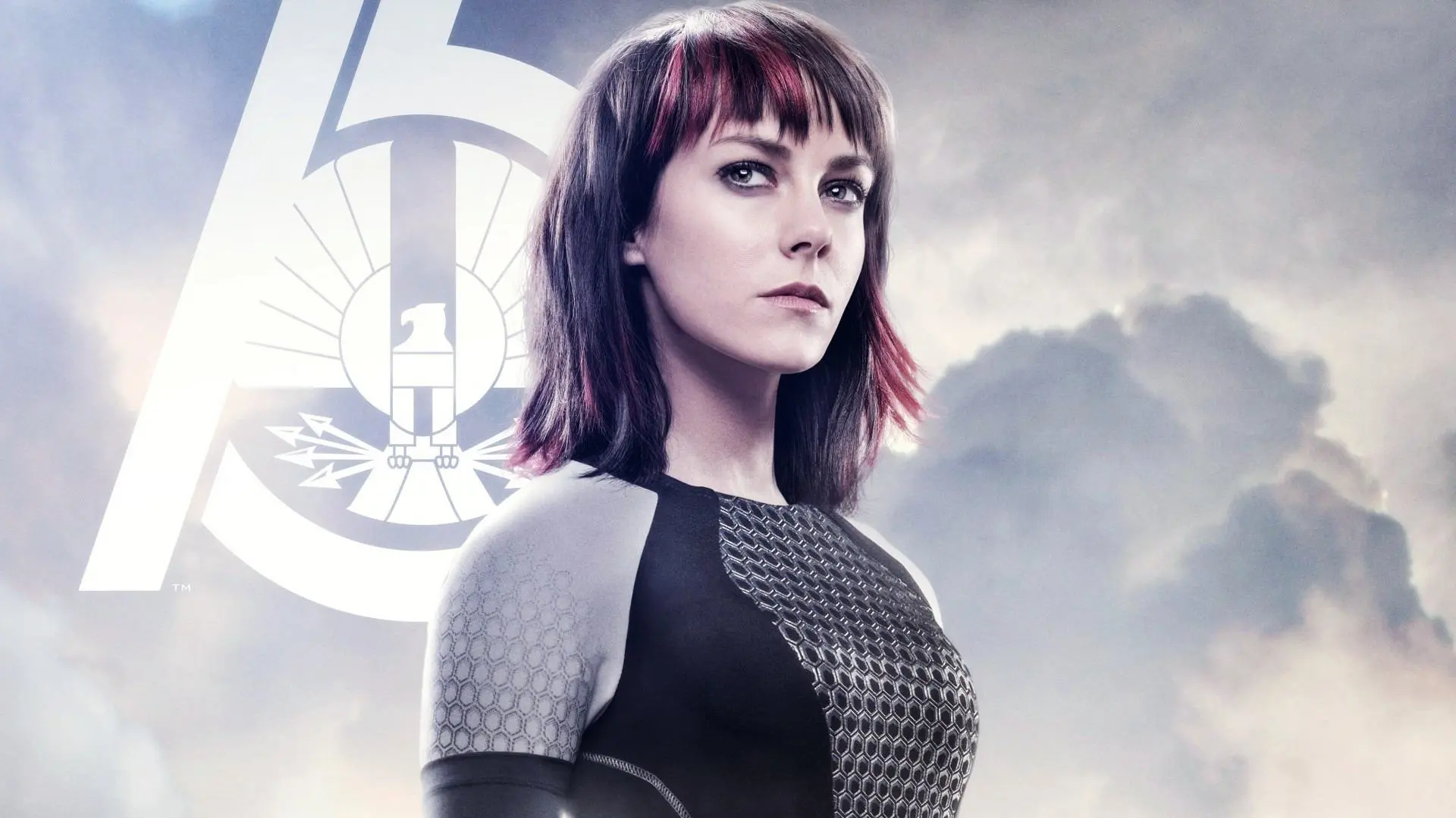 The Hunger Games Catching Fire wallpaper 9