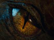 The Hobbit the Desolation of Smaug wallpaper 7
