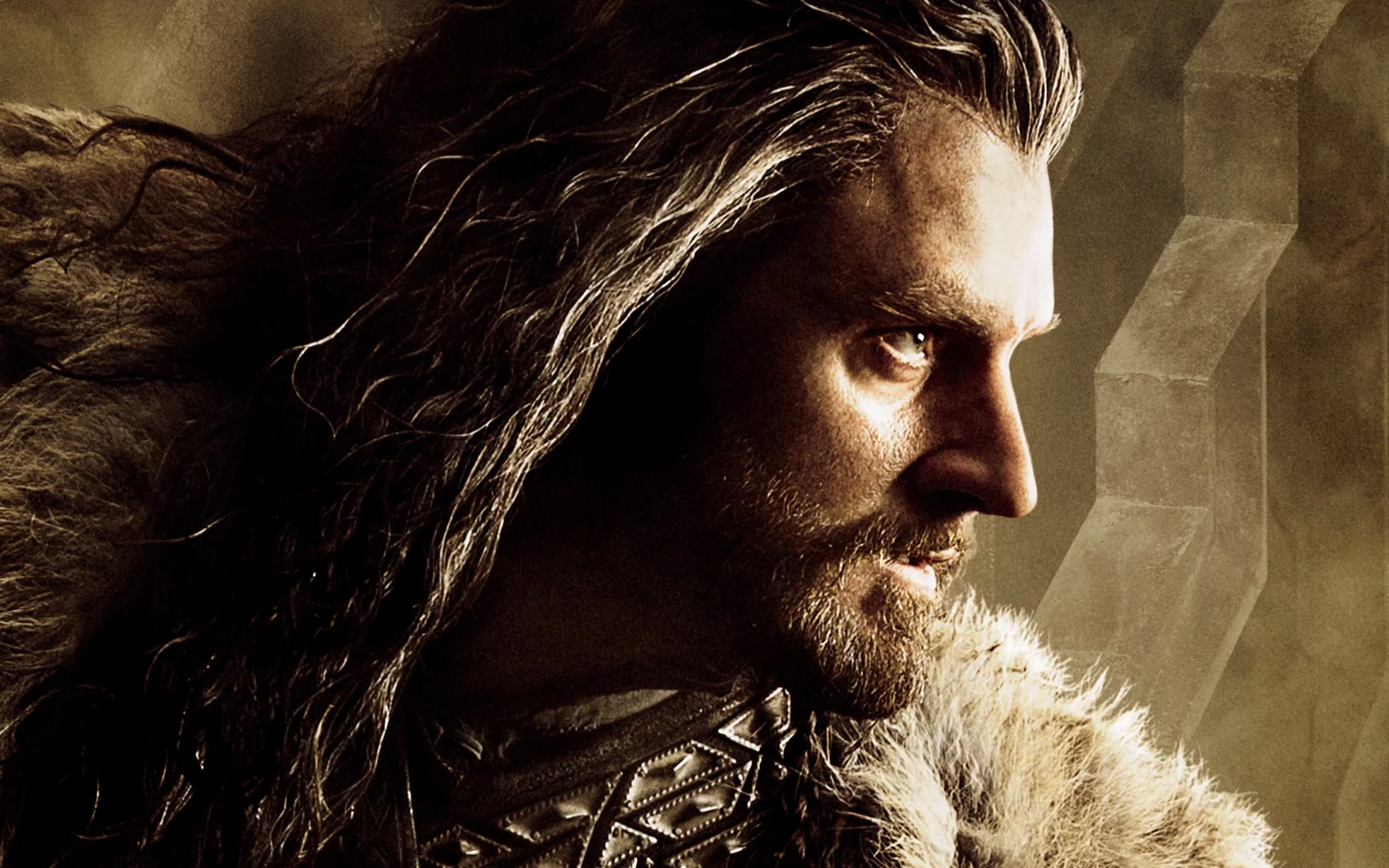 The Hobbit the Desolation of Smaug wallpaper 4