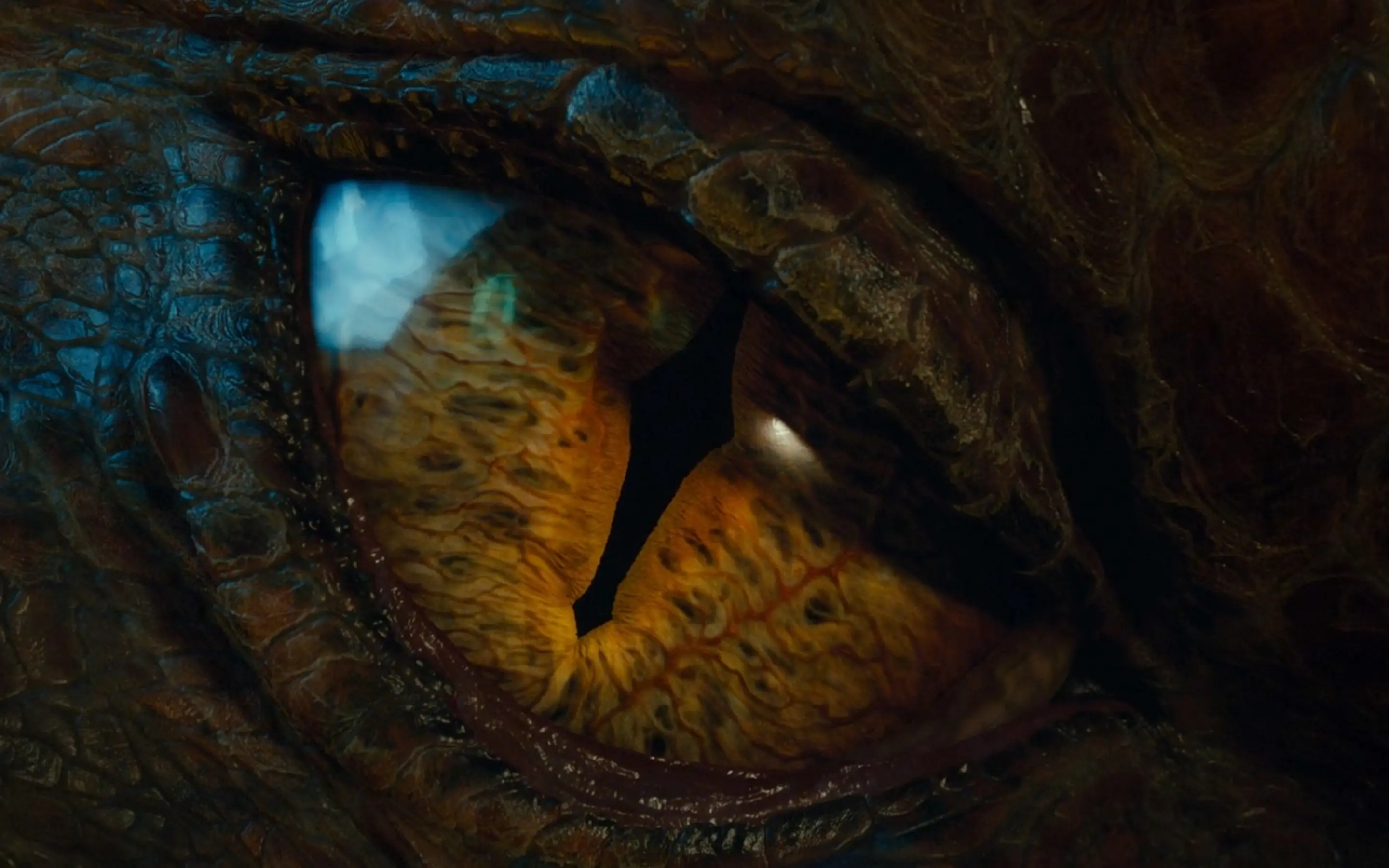 The Hobbit the Desolation of Smaug wallpaper 7