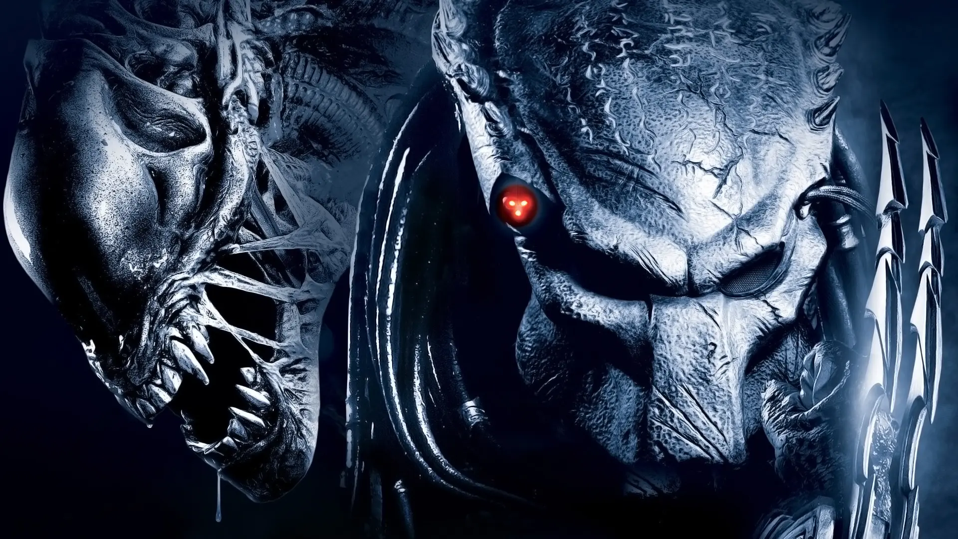 Alien vs Predator wallpaper 2