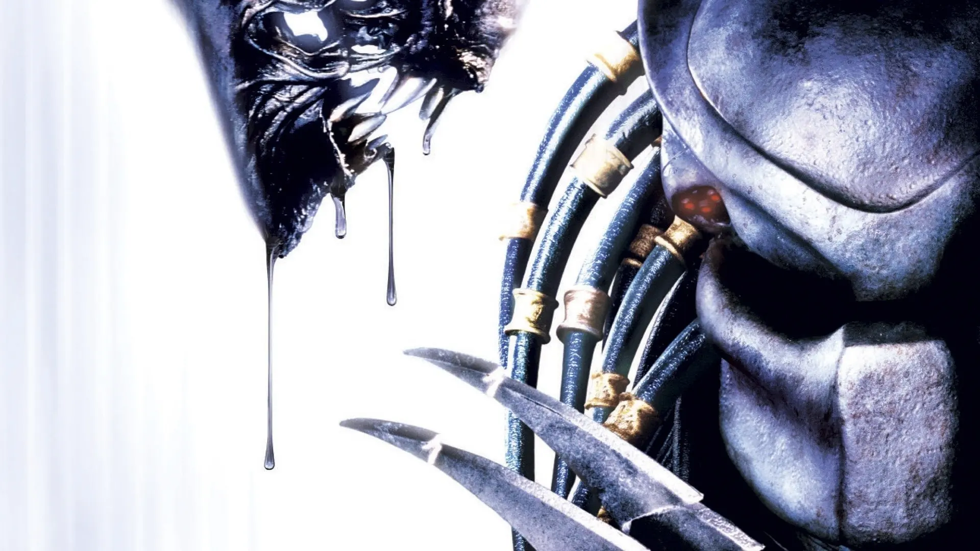 Alien vs Predator wallpaper 4