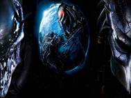 Alien vs Predator wallpaper 3