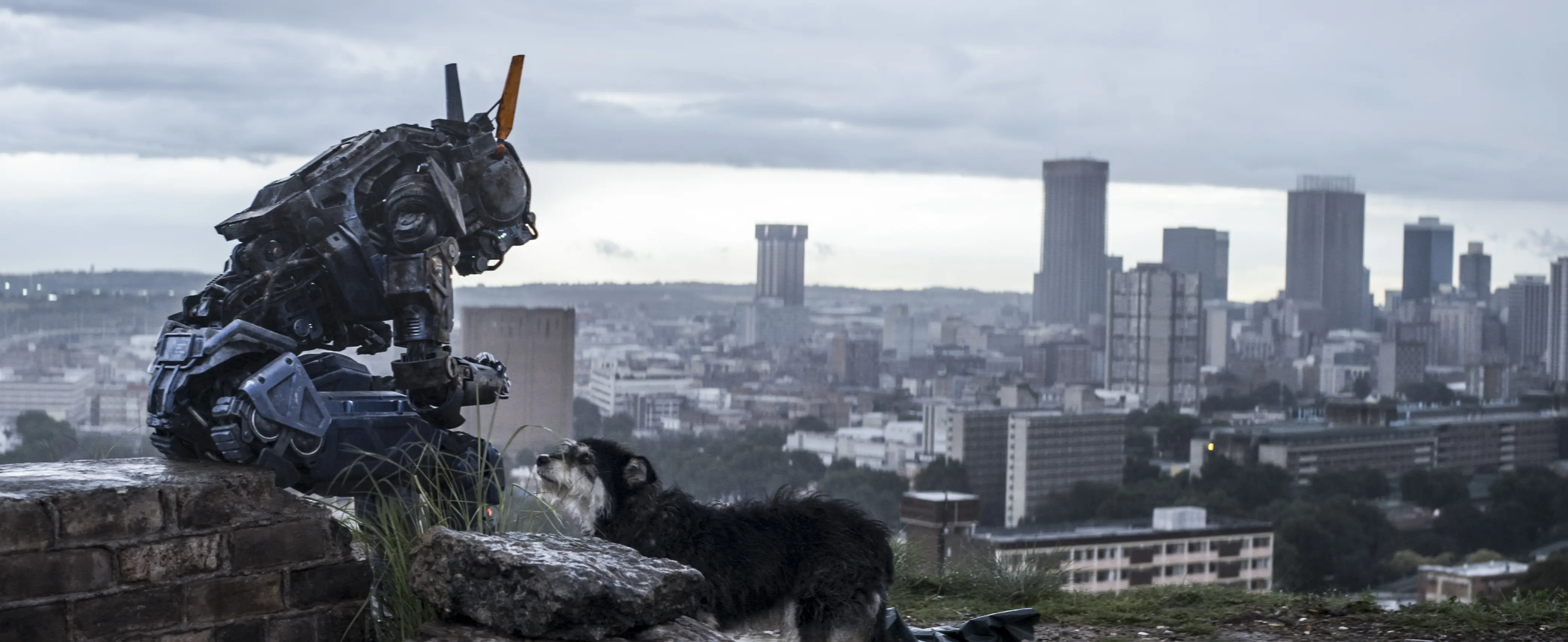 Chappie wallpaper 7