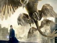 Fantastic Beasts and Where to Find Them wallpaper 2