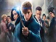 Fantastic Beasts and Where to Find Them wallpaper 3