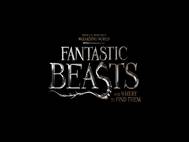 Fantastic Beasts and Where to Find Them wallpaper 4