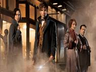 Fantastic Beasts and Where to Find Them wallpaper 5