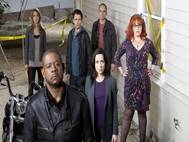 Criminal Minds wallpaper 9