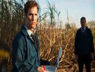 True Detective wallpaper 1