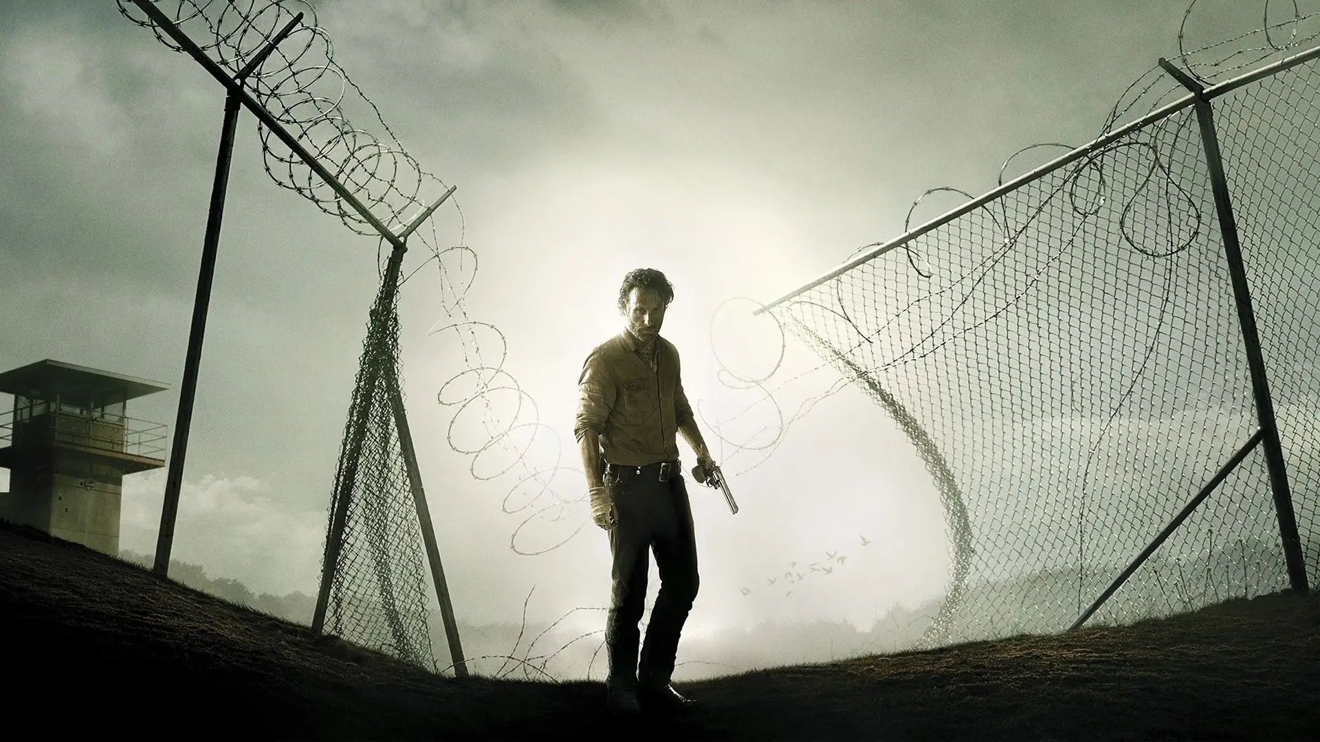 The Walking Dead wallpaper 12