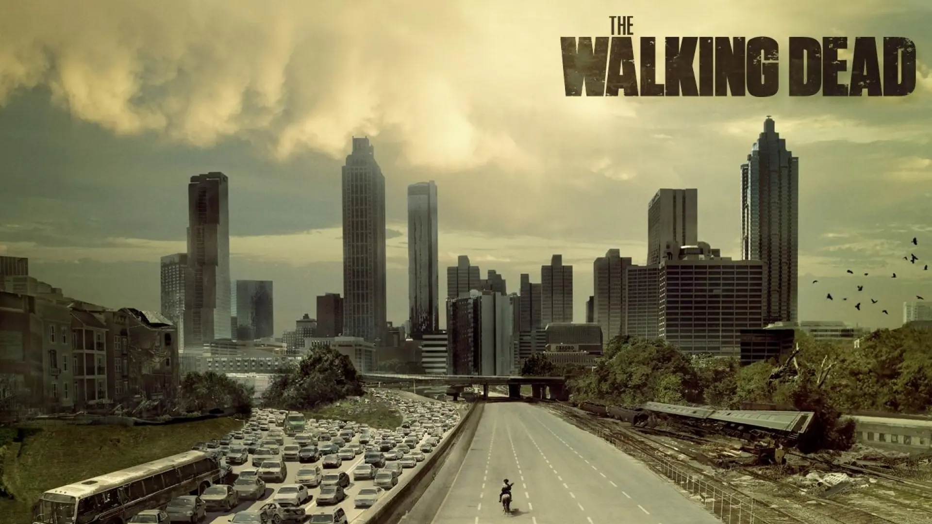 The Walking Dead wallpaper 8