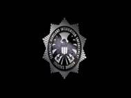 Agents of Shield wallpaper 11