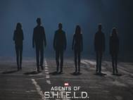 Agents of Shield wallpaper 16