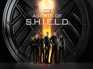 Agents of Shield wallpaper 3