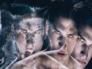 Teen Wolf wallpaper 12