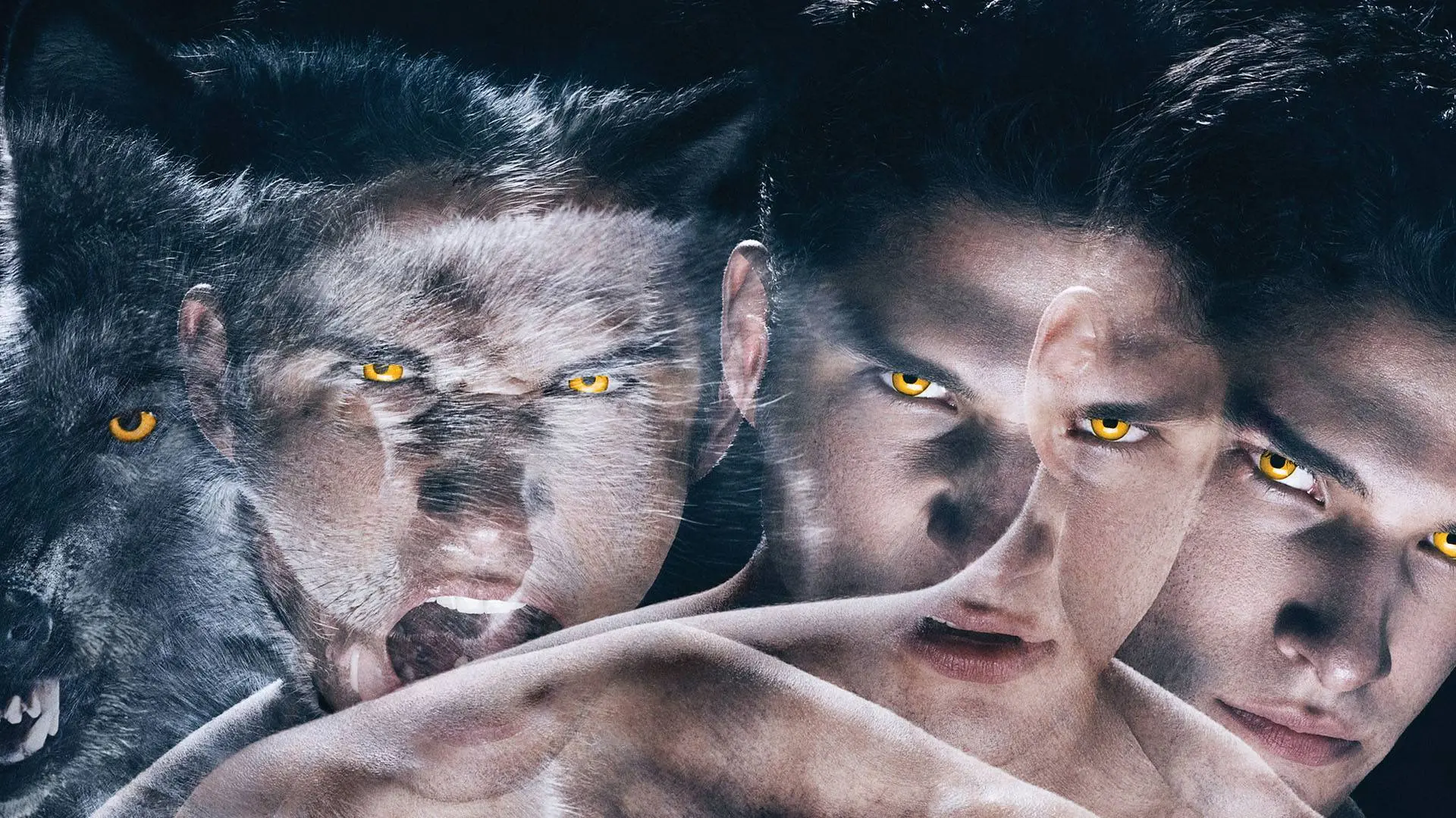 Teen Wolf wallpaper 12